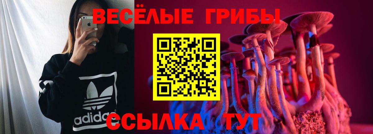 Галлюциногенные грибы ЛСД Хабаровск